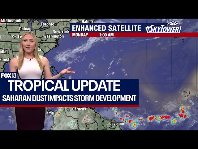 ⁣Tropics may heat up when Saharan dust breaks up