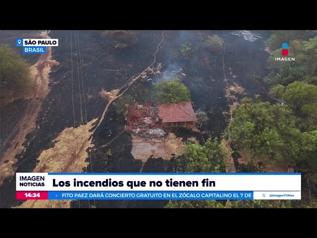 ⁣Autoridades anuncian envío de aviones para combatir los incendios en Brasil | Crystal Mendivil