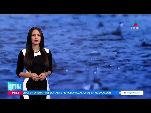 ⁣Se esperan lluvias intensas para algunos estados de la República | Noticias con Crystal Mendivil