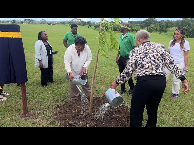 ⁣Importance of National Botanical Gardens explained