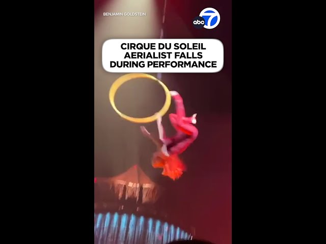 ⁣Cirque du Soleil aerialist falls during performance