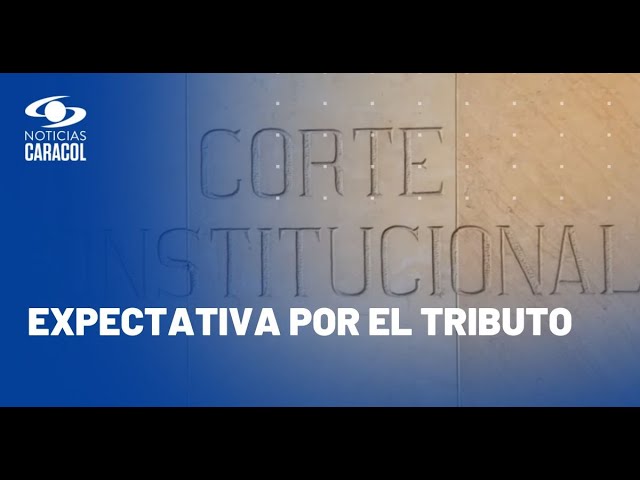 ⁣¿Impuesto al patrimonio viola el derecho a la propiedad?