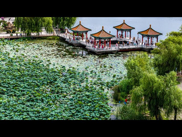 ⁣Live: Nanhu Lake Park – A natural oasis in the heart of Changchun