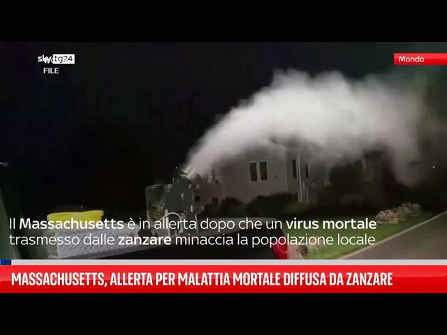 ⁣Massachusetts, allerta per virus mortale diffuso da zanzare