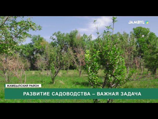 ⁣Развитие садоводства – важная задача