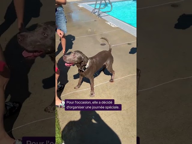 ⁣Journée de baignade pour les chiens à Saskatoon