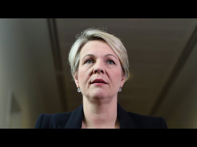 ‘Plibersek has to be held up to account’: Calls for Environment Minister to recant