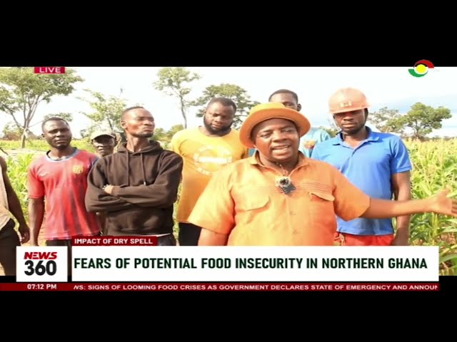 ⁣#News360 || Impact of Dry Spell - Govt Bans Grain exports amid food crisis