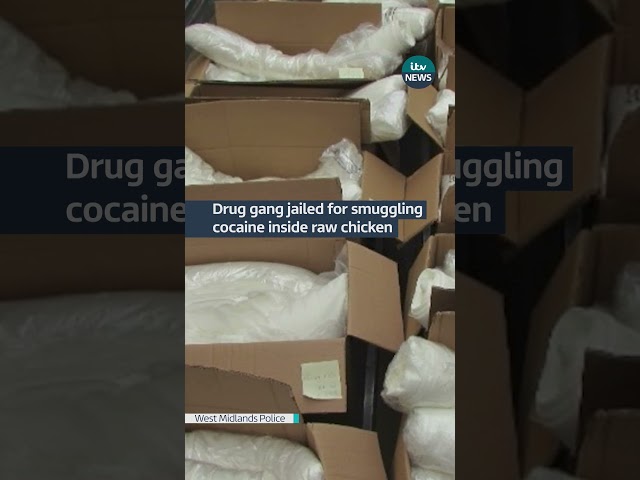 ⁣Drug gang jailed for smuggling cocaine inside raw chicken | ITV News