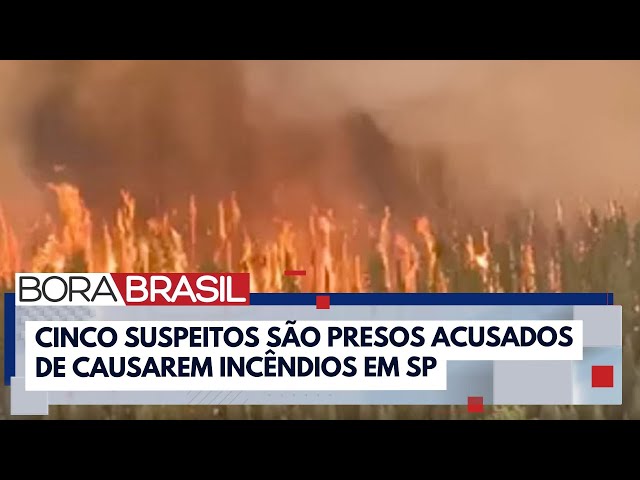 Perícia busca entender se incêndios têm relação com organização criminosa | Bora Brasil