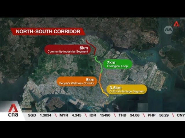 ⁣North-South Corridor Master Plan: Ideas include public space in Rochor, nature-based areas in AMK