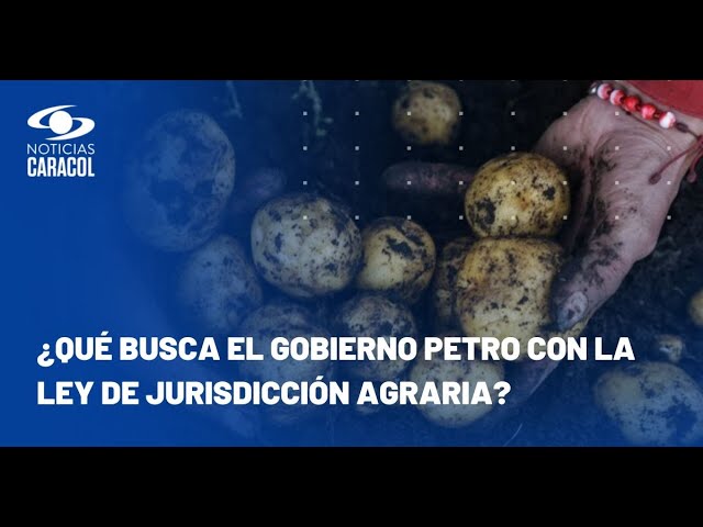 ⁣Gobierno radicará ley de jurisdicción agraria: ¿qué pasará con el acceso a la tierra?