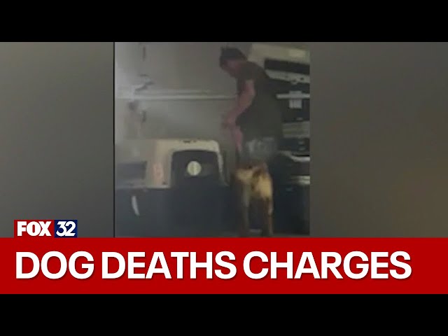 ⁣2 suspects face charges in Indiana dog deaths