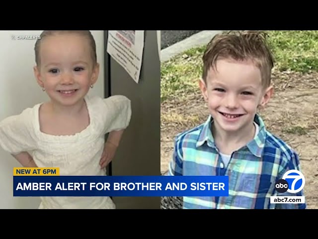 ⁣New details emerge about how 2 missing siblings were taken in South LA