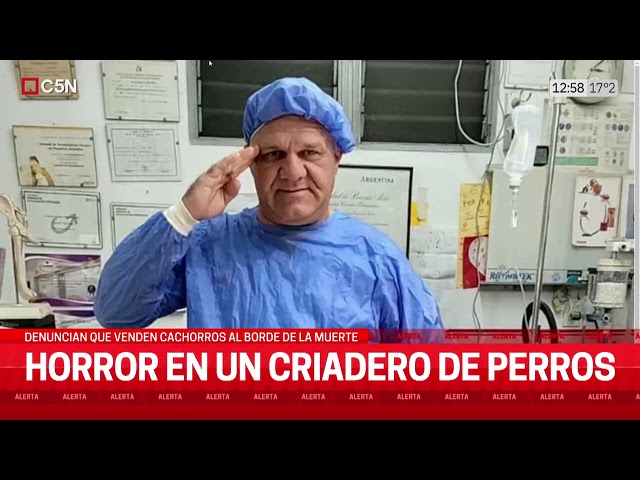 ⁣HORROR en un CRIADERO de PERROS: DENUNCIAN que VENDEN CAHORROS al BORDE de la MUERTE