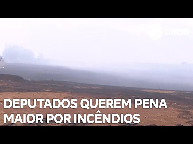 ⁣Deputados querem penas mais duras para incêndios criminosos