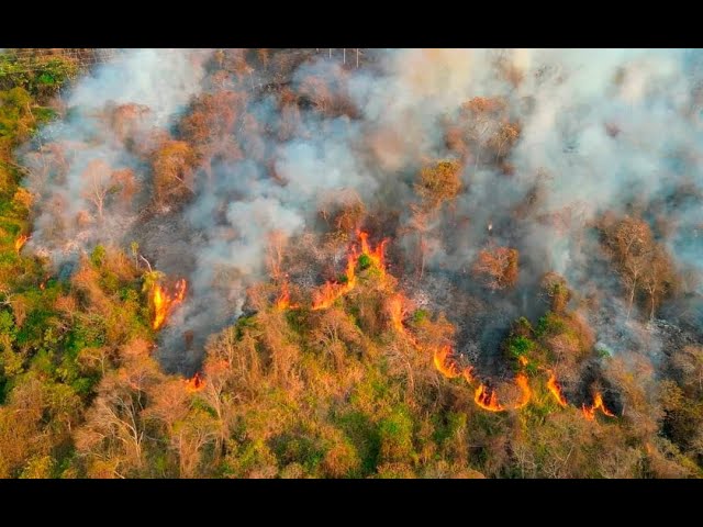 Bomberos solicitan ayuda para controlar incendio forestal en Cusco