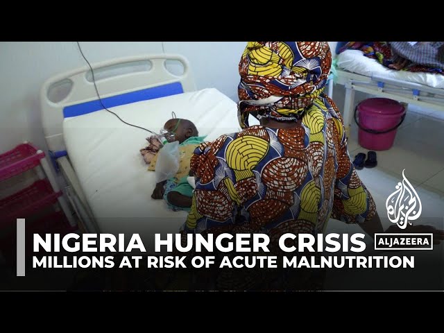 Nigeria hunger crisis: 26.5 million at risk of acute malnutrition