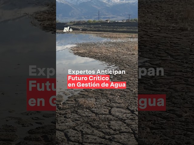 Semana mundial del agua: Expertos anticipan futuro crítico en gestión de agua - N+ #shorts