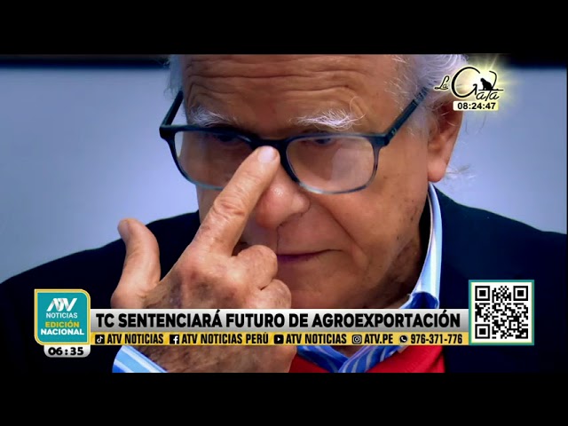 Tribunal Constitucional sentenciará el futuro de la agroexportación