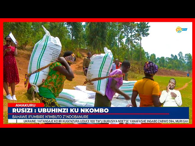 ⁣Nkombo: Abahatuye bizeye umusaruro w'ubuhinzi nyuma yo guhabwa imbuto n'inyongeramusaruro 