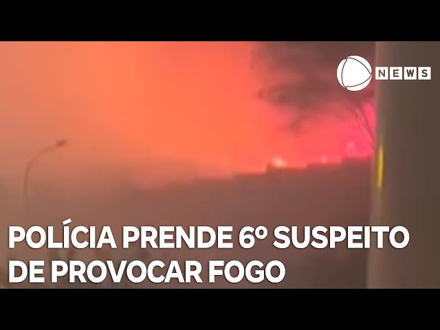 Polícia prende 6º suspeito de atear fogo em vegetações no interior de SP