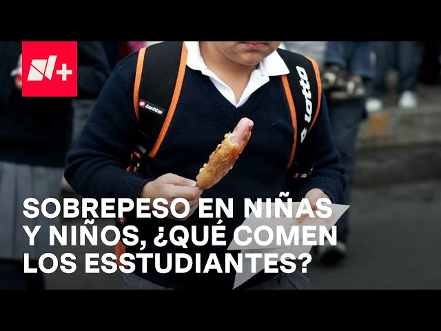 ¿Qué comen los niños y niñas, estudiantes de educación básica en Mésxico? - En Punto