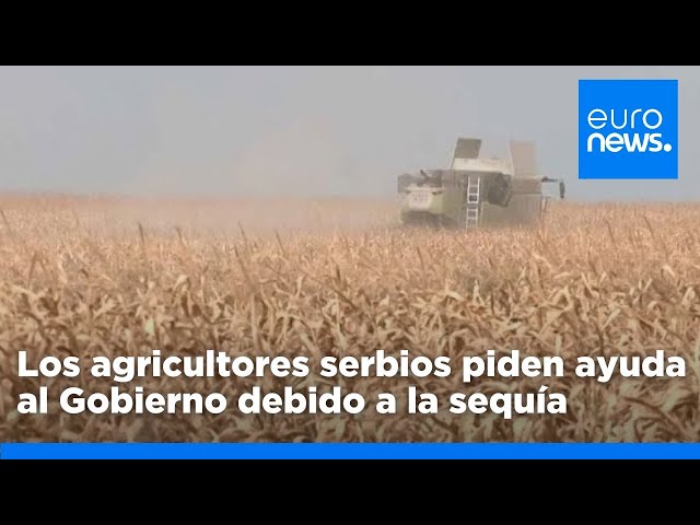 ⁣Sequía total: Los agricultores serbios piden ayuda al Gobierno mientras el calor extremo obliga …