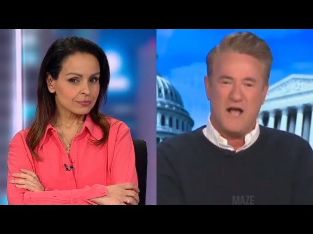 Lefties losing it: Rita Panahi mocks ‘fake news peddlers’ of MSNBC