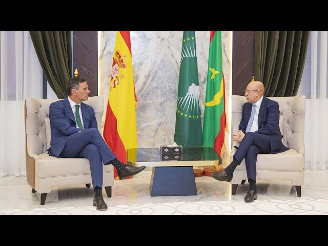 Immigration : une question "de dignité et de solidarité" pour Pedro Sánchez, en visite en 