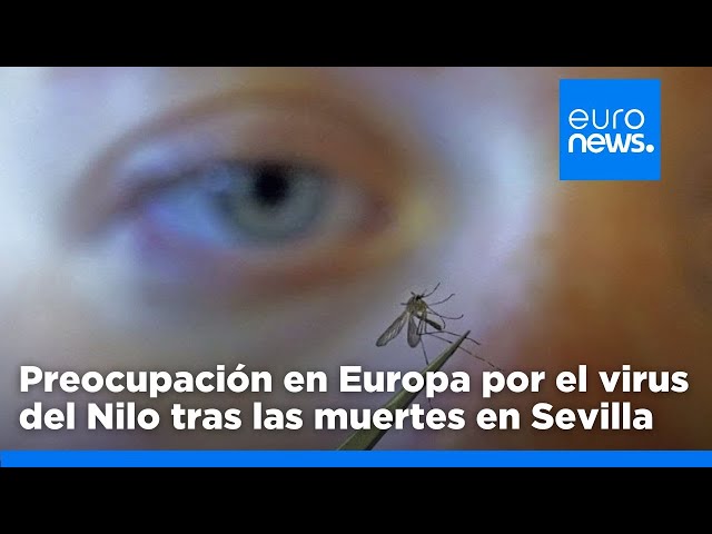 ⁣Preocupación en Europa por el virus del Nilo tras las dos muertes en Sevilla