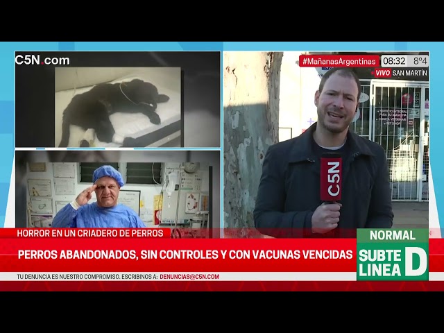 ⁣HORROR en un CRIADERO de PERROS: VENDEN CACHORROS al BORDE de la MUERTE