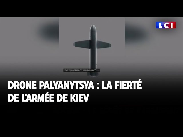 Drone Palyanytsya : la fierté de l'armée de Kiev