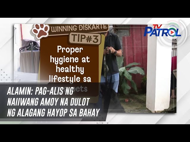 ⁣ALAMIN: Pag-alis ng naiiwang amoy na dulot ng alagang hayop sa bahay | TV Patrol