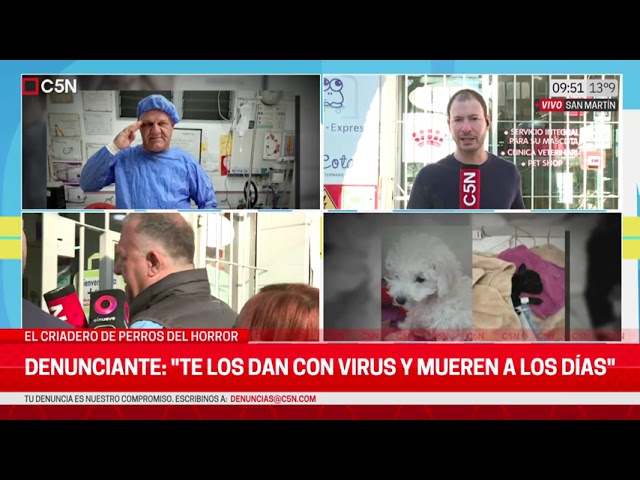 ⁣HORROR en un CRIADERO de PERROS: INCREPAN al VETERINARIO