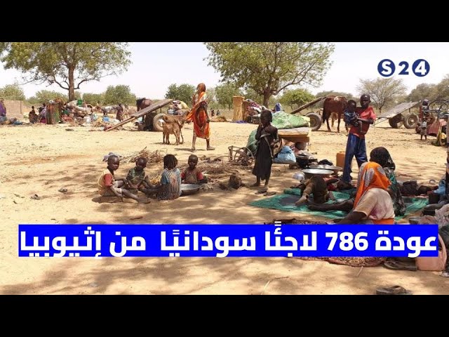 ⁣عودة 786 لاجئًا سودانيًا  من دولة إثيوبيا