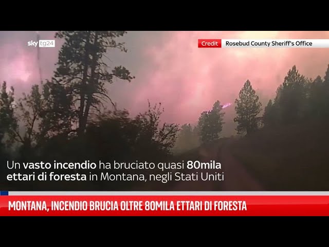 ⁣Montana, incendio brucia oltre 80mila ettari di foresta