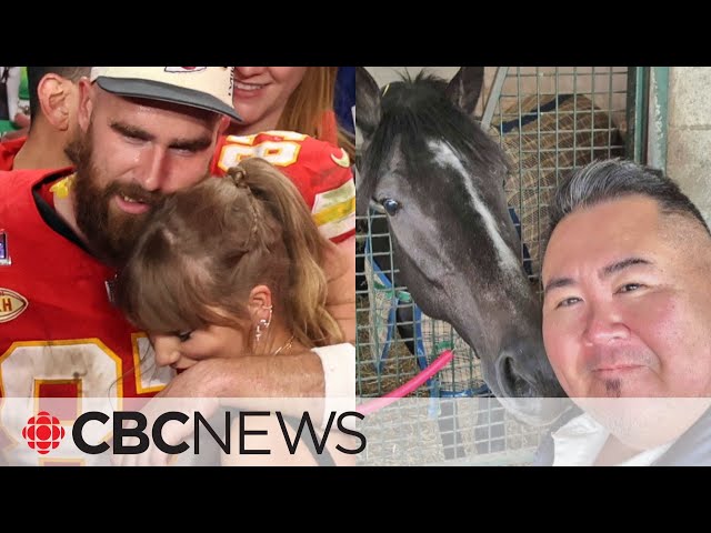 ⁣Travis Kelce buys stake in Ontario-based horse named Swift Delivery