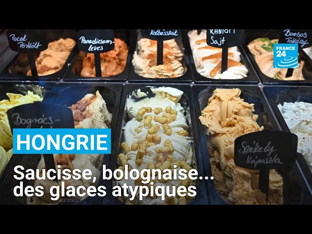 Goulasch ou bolognaise : en Hongrie, des glaces atypiques font sensation • FRANCE 24