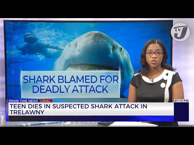 ⁣Teen Dies in Suspected Shark Attack in Trelawny | TVJ News