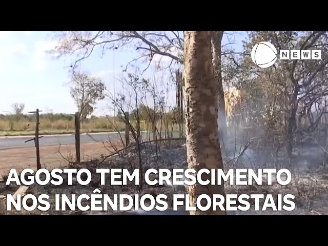 Agosto registra aumento nos incêndios florestais