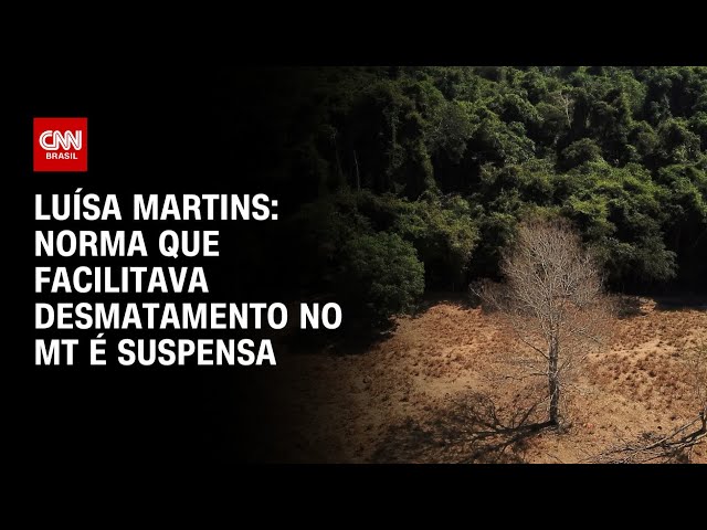 Luísa Martins: Norma que facilitava desmatamento no MT é suspensa | CNN 360°