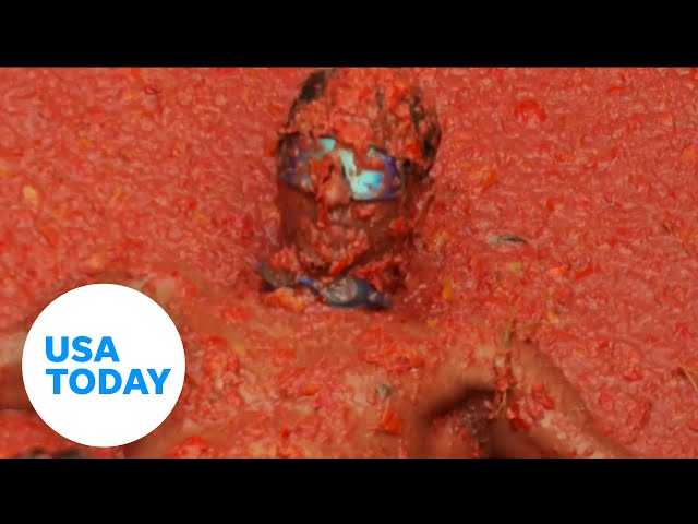 ⁣Thousands throw tomatoes at each other in La Tomatina festival | USA TODAY