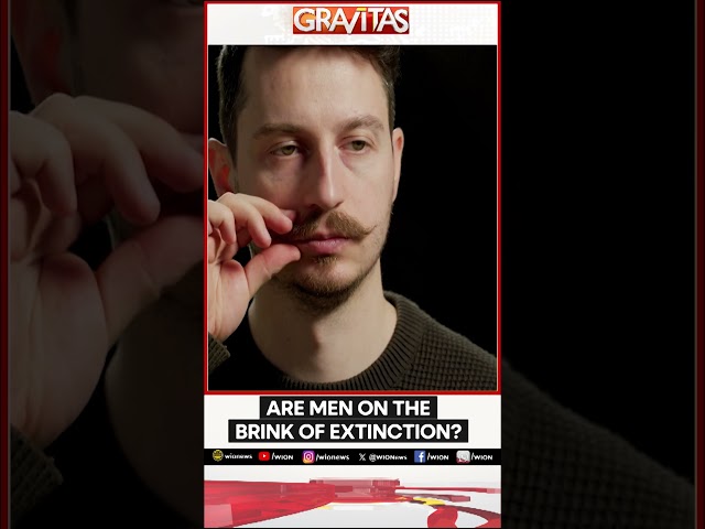 ⁣Are men on the brink of extinction? | Gravitas | World News | WION Shorts