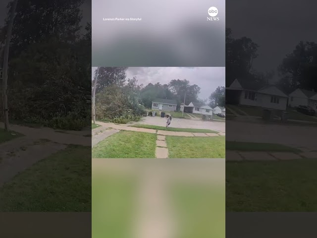 ⁣Doorbell cam captures cyclist crashing into falling tree