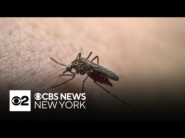 ⁣Doctor explains rare mosquito-borne illness known as EEE