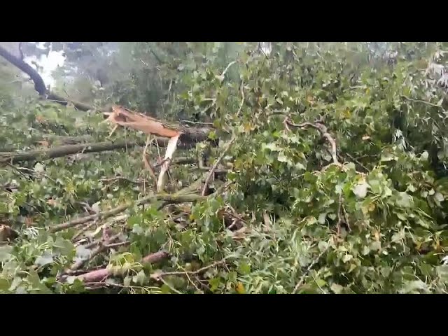 ⁣Video shows major storm damage along trail in Rochester Hills