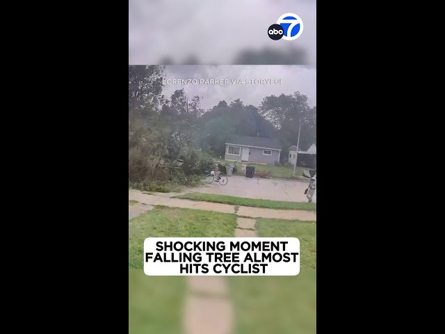 ⁣Shocking moment falling tree almost hits cyclist!