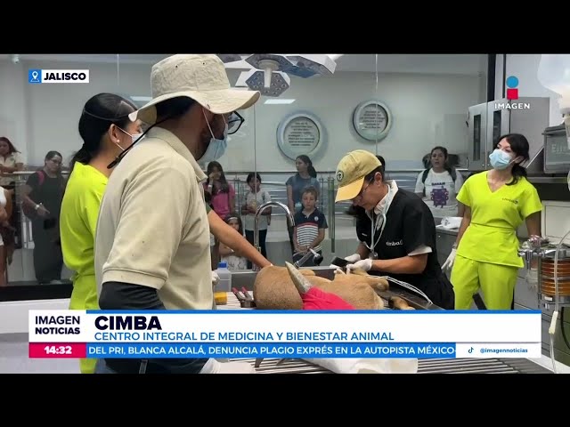 ⁣En el Zoológico de Guadalajara, los visitantes pueden ver cómo atiende a los animales | Crystal