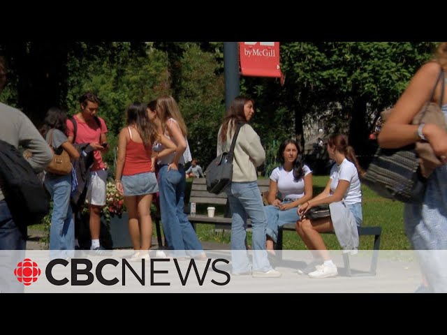 ⁣Students return to McGill after spring's pro-Palestinian encampment protests